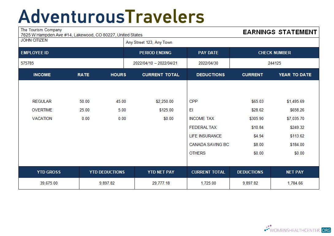 Download tourism company paystub template in Word and PDF formats Photoshop template